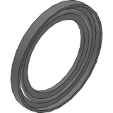 Seal Ring BS4825
