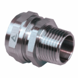 NPT straight fitting,Compact, male,stainless steel AISI-304 - Sealtite Fittings