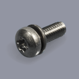 DIN 6900-1 Z0 T stainless steel A2 plain - Torx SEMS screws with small flat washer