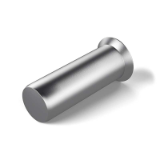RIVKLE® Standard, countersunk head, plain, cylindrical, closed