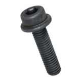BN 1392 Hex socket head cap screws with flange partially / fully threaded
