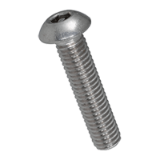 BN 6971 Tamper proof button head screws with center pin