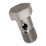 BN 353 Hollow screws standard design