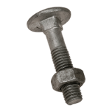 BN 20147 Round head square neck bolts with hex nut
