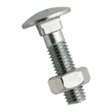 BN 248 Round head square neck bolts with hex nut