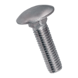 BN 645, BN 31107 Round head square neck bolts without hex nuts