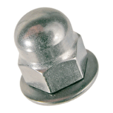 BN 20190 Hex domed cap nuts with captive conical spring washer