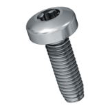 BN 20761 Pan head screws with hexalobular socket Torx plus® / Autosert®