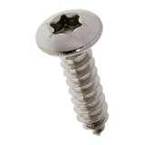 BN 33041 Hexalobular (6 Lobe) socket pan head tapping screws with cone end type C, A4