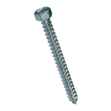 BN 6027 Building screws with cone end without sealing washer