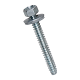 BN 75 Building screws with flat end with sealing washer
