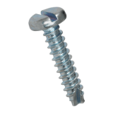 BN 1014 Slotted pan head thread cutting screws with tapping screw thread type 1