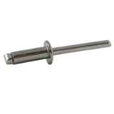 ALFO® Nickel-Copper / Stainless Steel A4 Dome Head - Standard Blind Rivet
