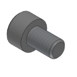 CBAY - Alloy600 hexagon socket head bolt