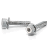 SNSQS-PM - Socket Head Cap Screw with Magnetic Captive Washer