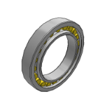 BC1_502 - INSOCOAT cylindrical roller bearings, single row