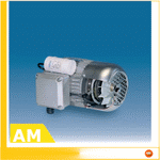 AM - Single-phase induction self brake motors