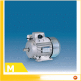 M - Single-phase induction motors