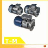 STM Motor T-D-M