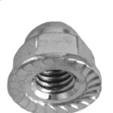 N0000035 - Iron Flange Cap Nut with Serrate
