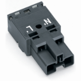 770-1172 - Plug, 2-pole, Cod. L